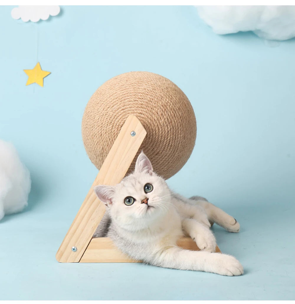 Cat Scratching