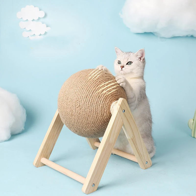 Cat Scratching