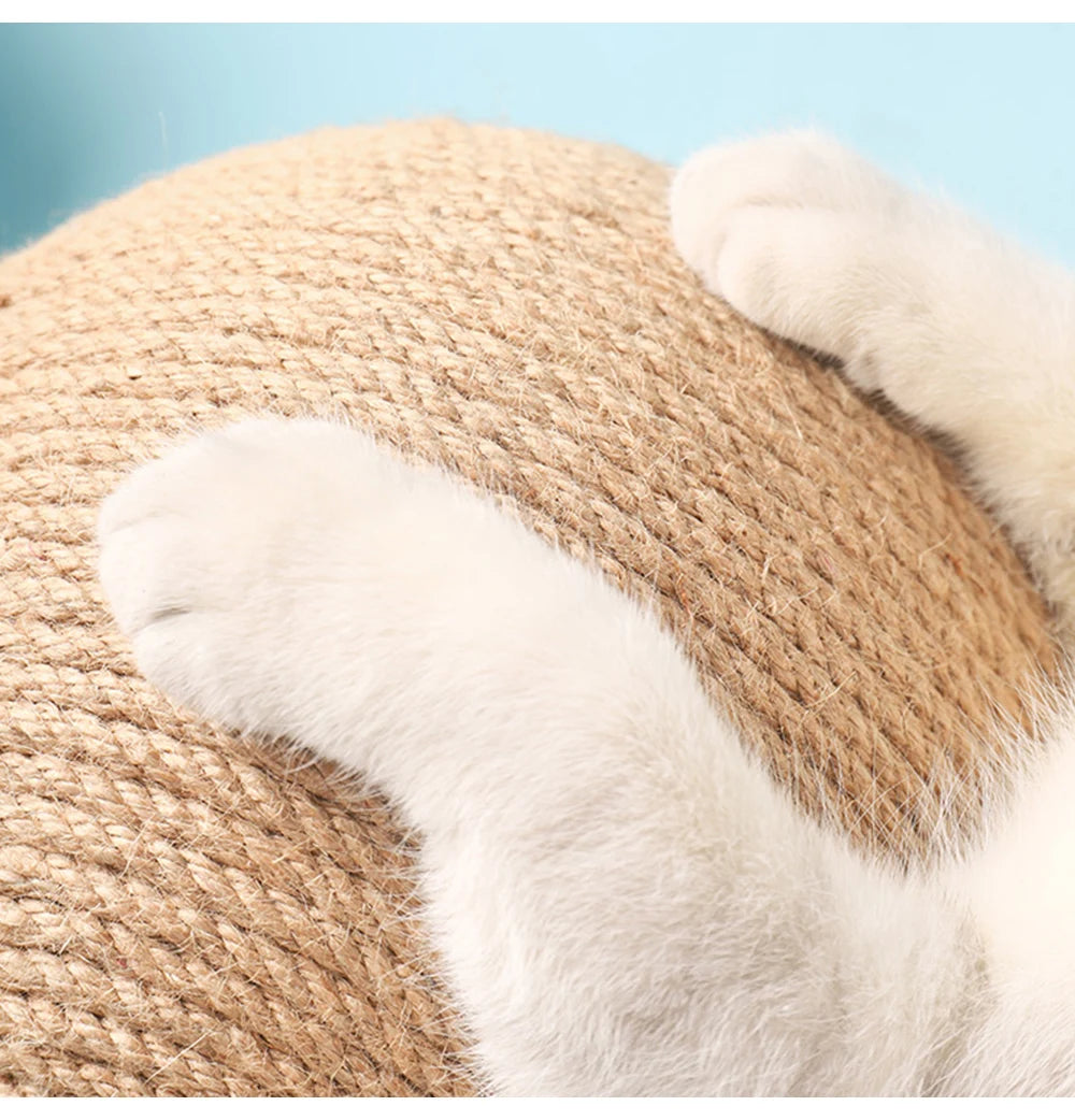 Cat Scratching