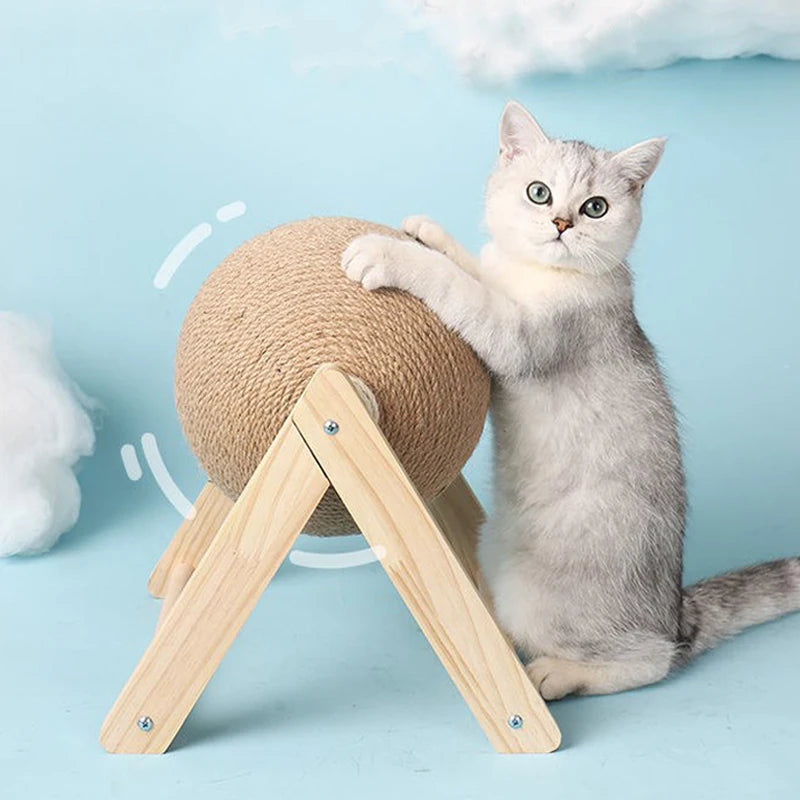 Cat Scratching