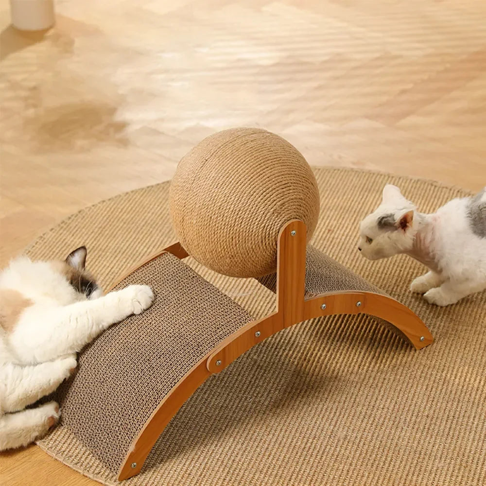 Cat Scratching