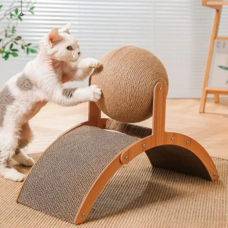 Cat Scratching