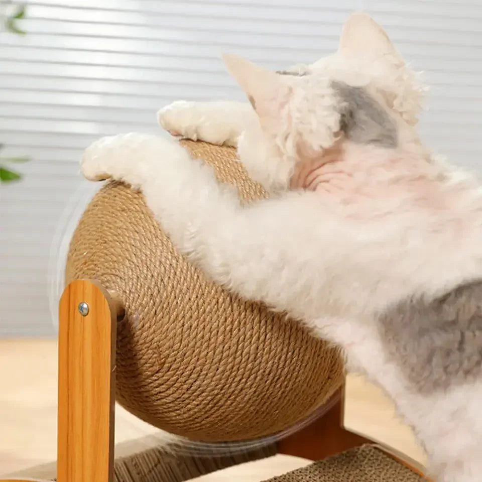 Cat Scratching