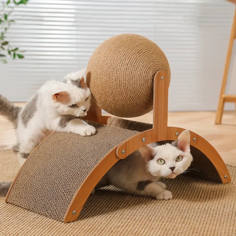 Cat Scratching