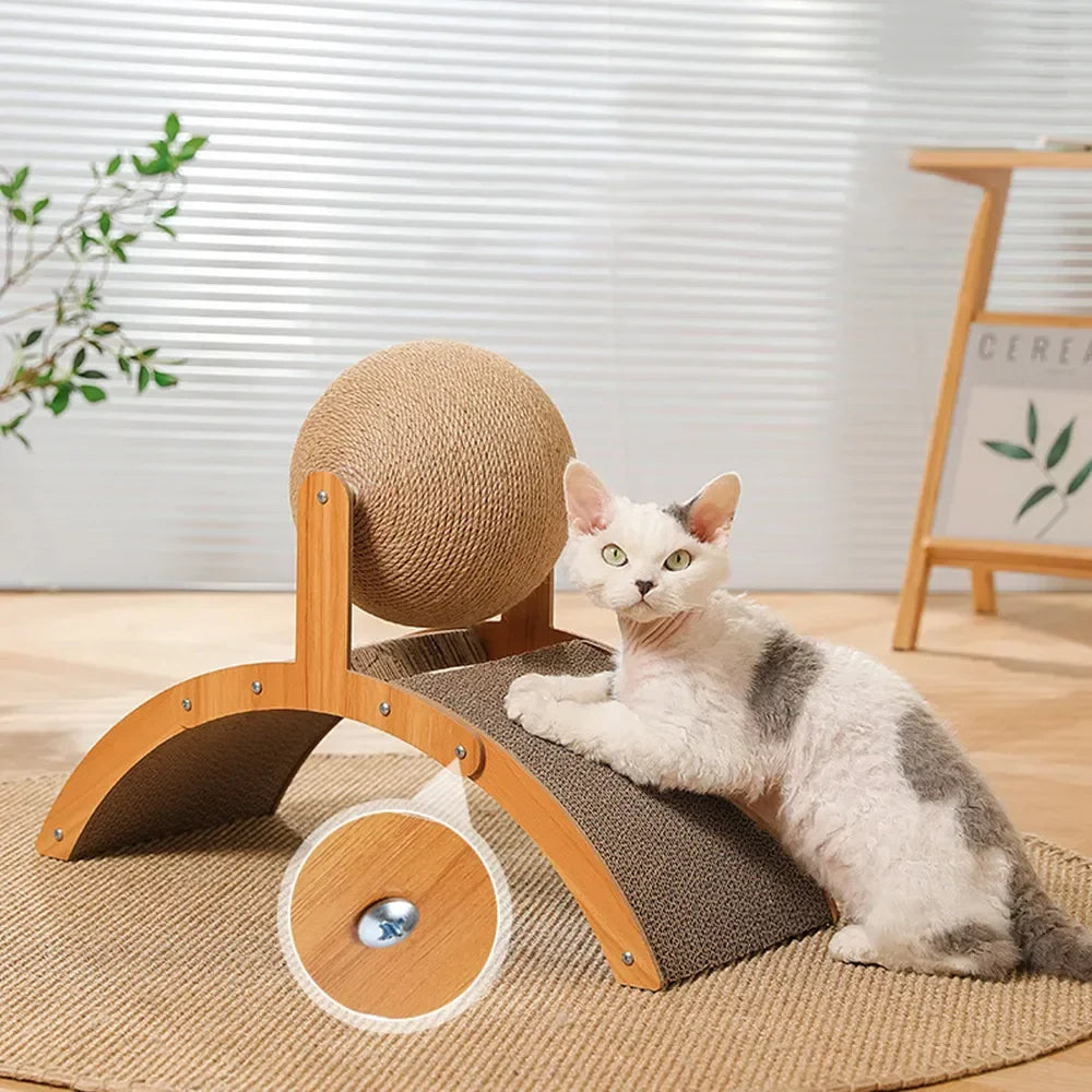 Cat Scratching