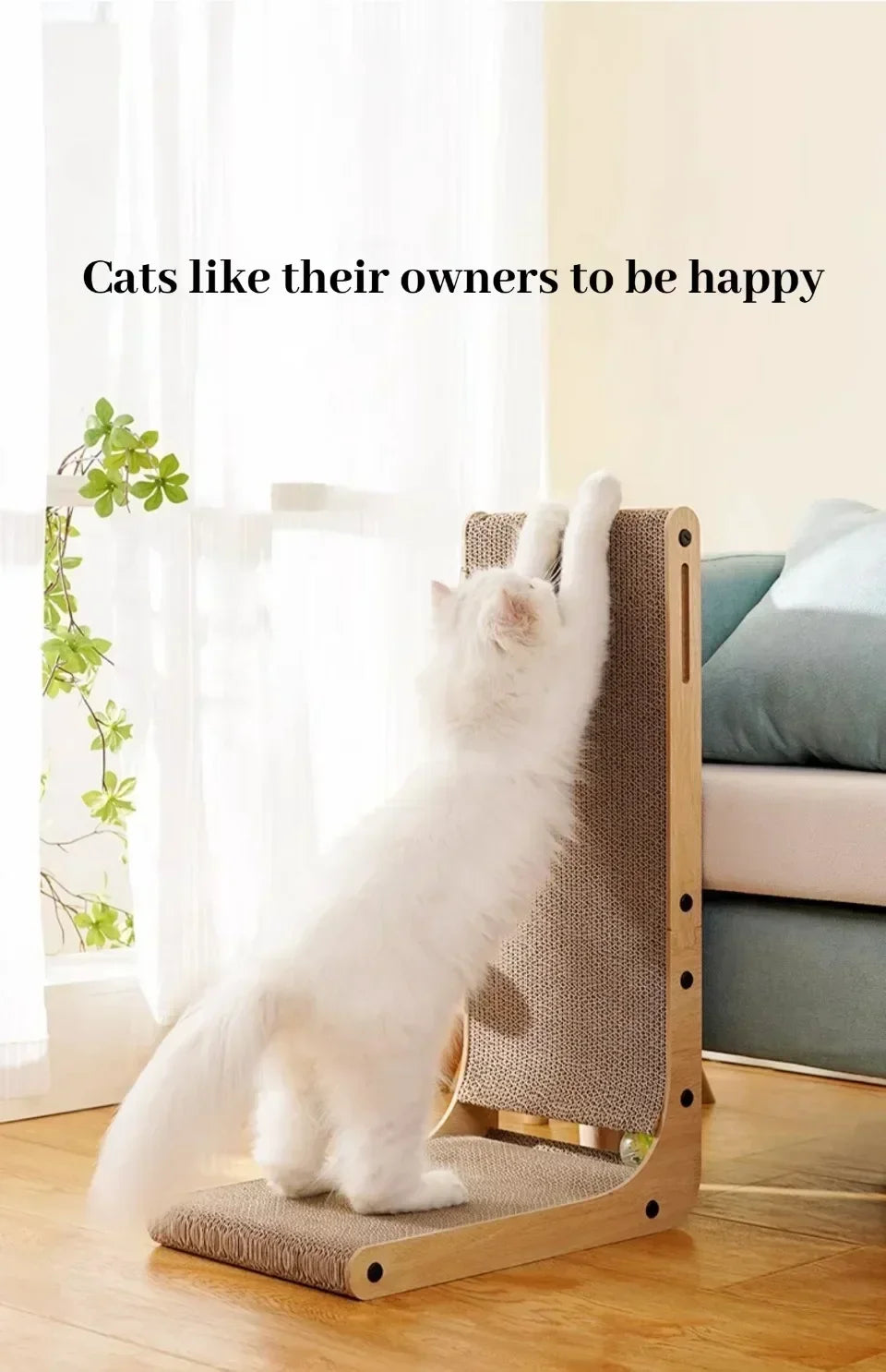 Cat Scratching Board